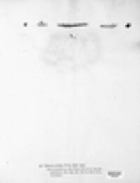 Calocera cornea image